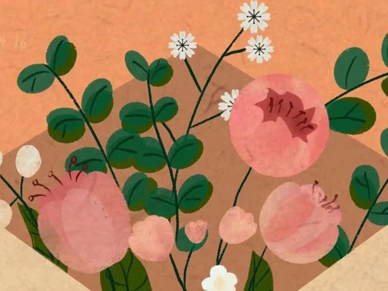 Ein Brief an Jufengs Familie