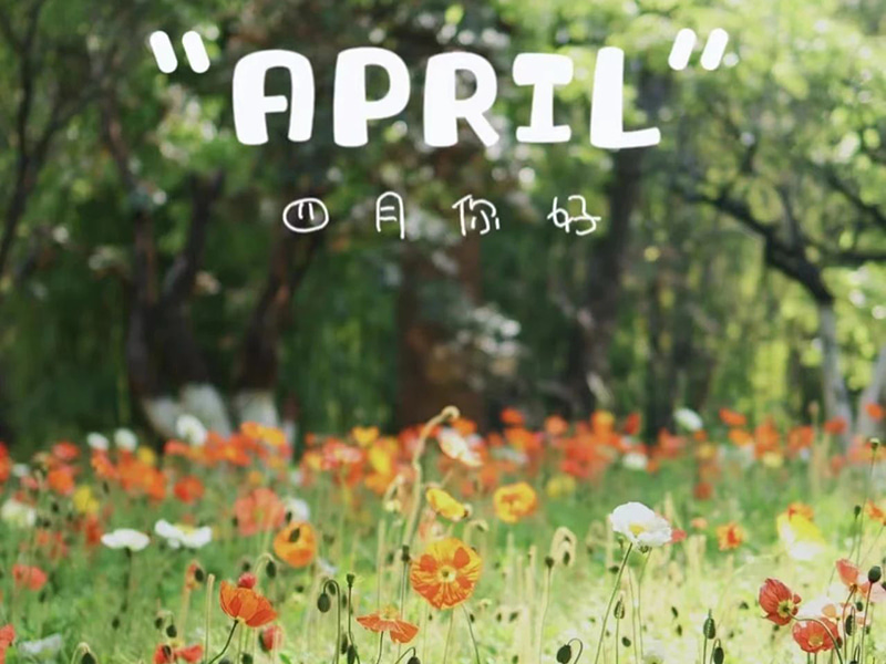 Geburtstagswünsche: Herzlichen Glückwunsch zum Geburtstag an alle, die im April geboren sind